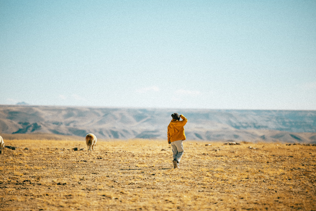 试图牧羊的吴恙