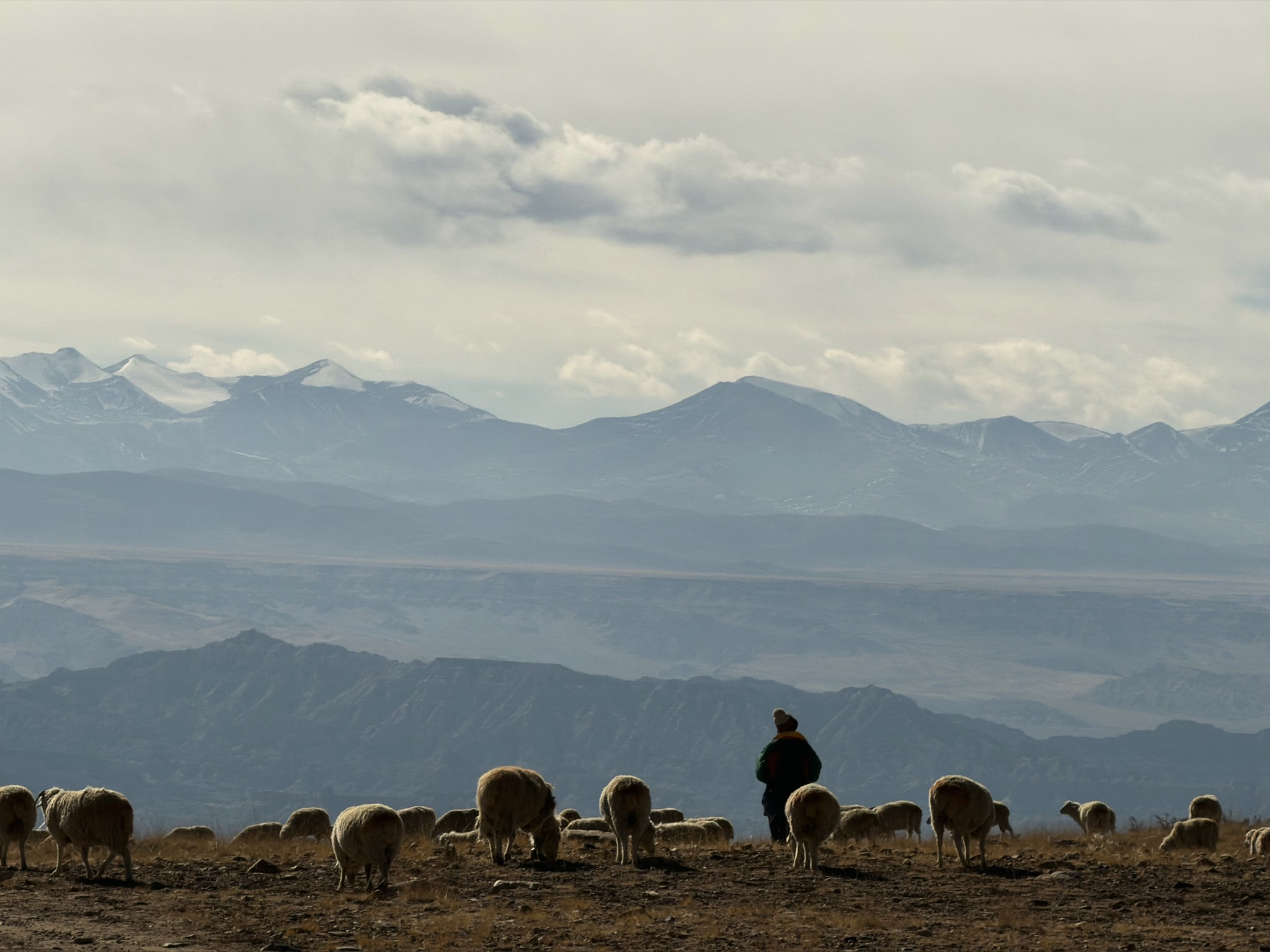 在山坡上牧羊的牧羊人