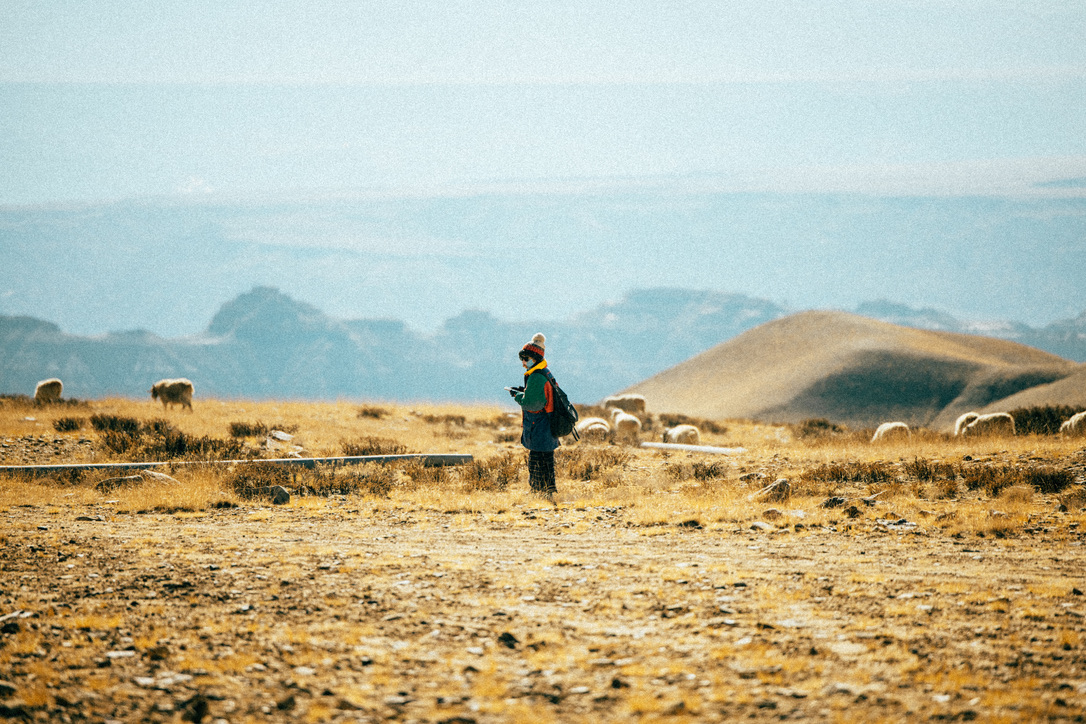 牧羊姑娘不但穿得很潮流，玩着手机，人也很酷