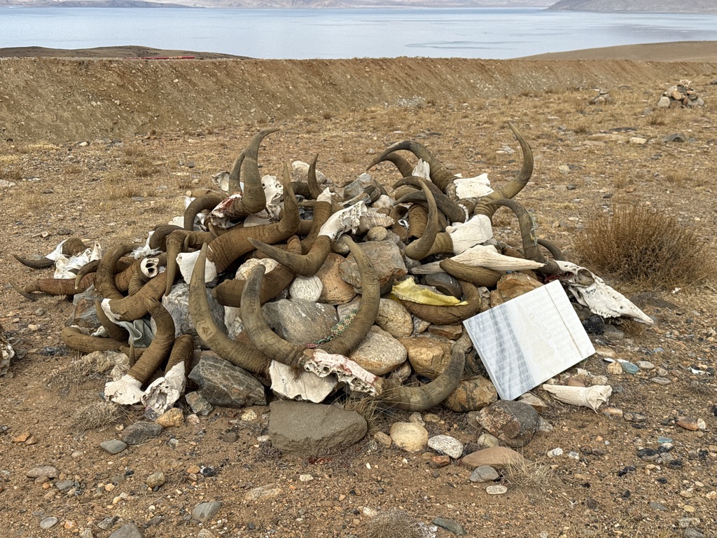 刻有六字真言的牦牛头骨堆