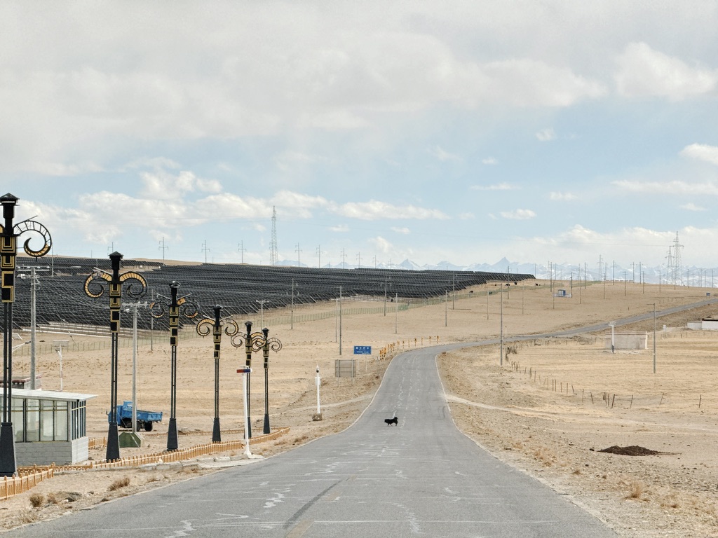 霍尔巴乡的光伏海