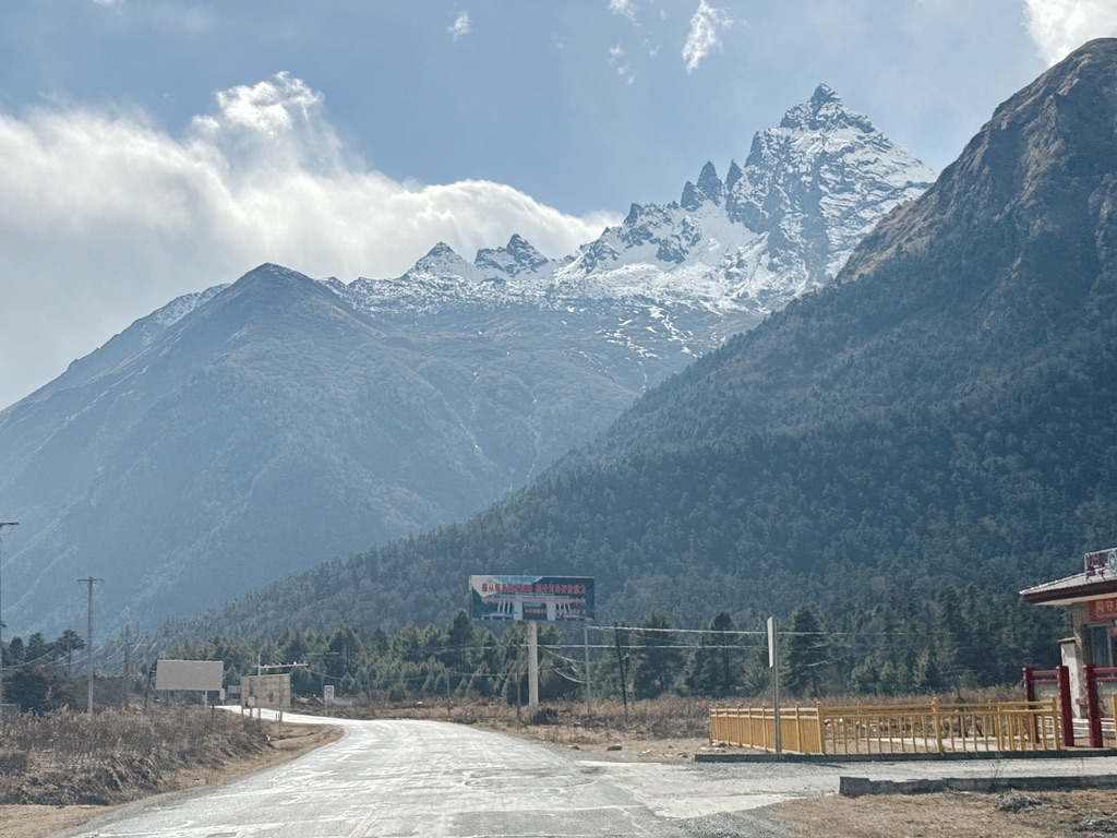出现森林与雪山