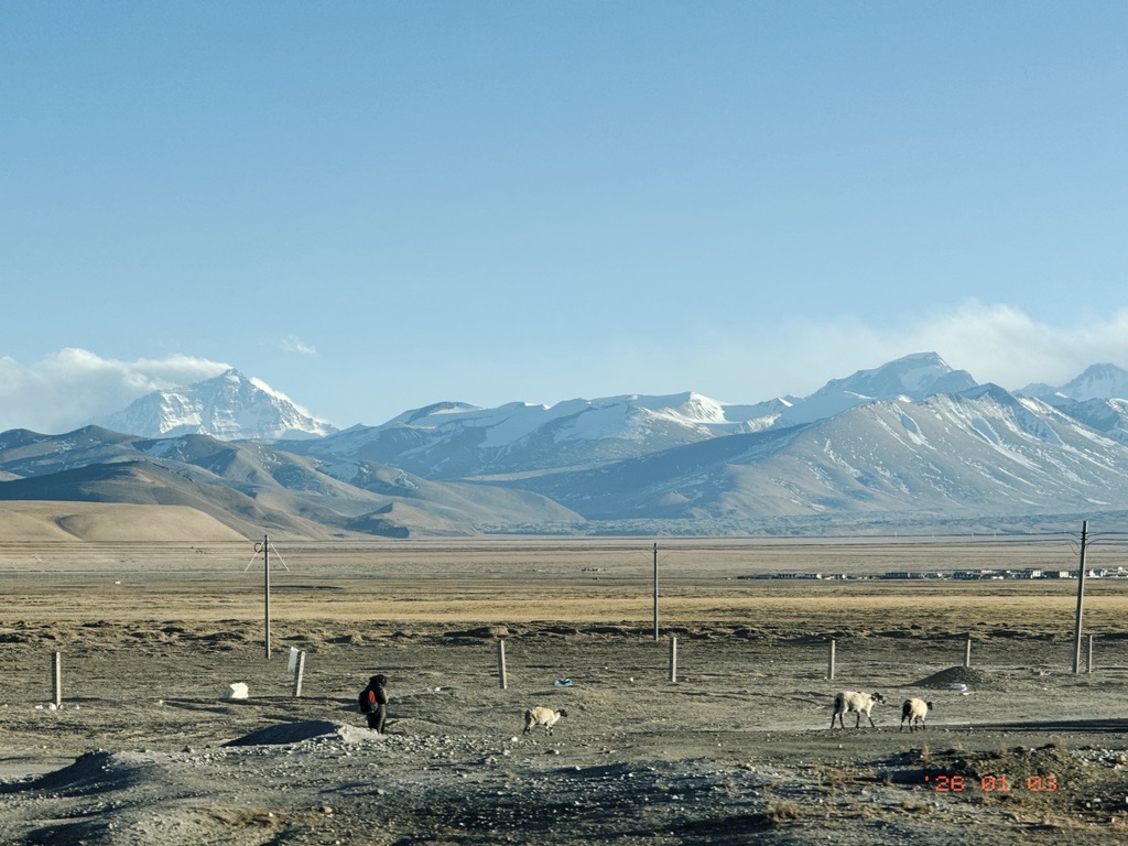 珠峰下的牧羊人