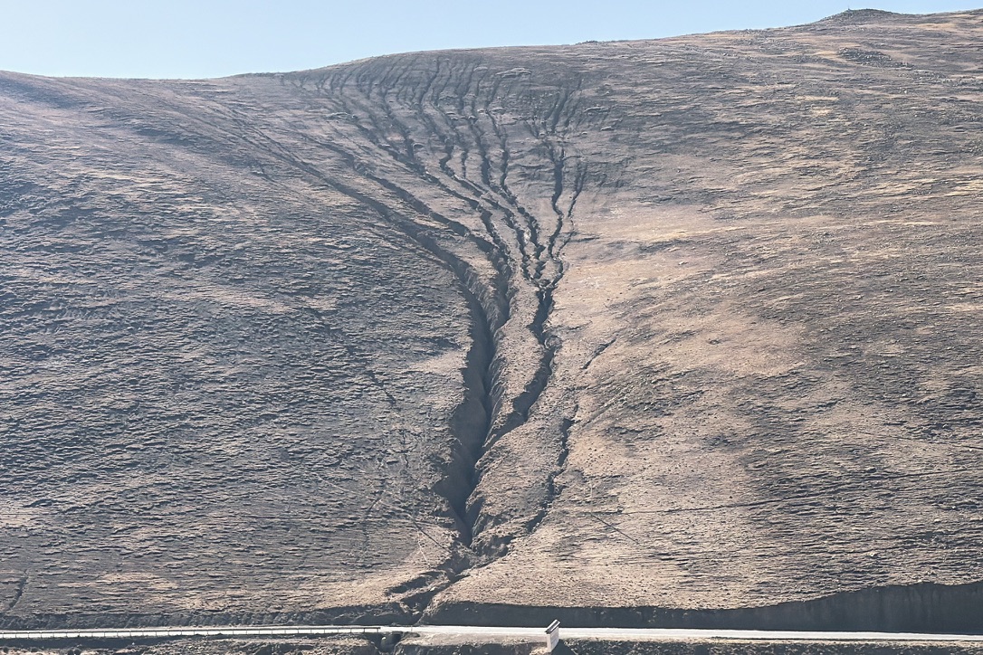 被称作「大地之树」的侵蚀沟地貌