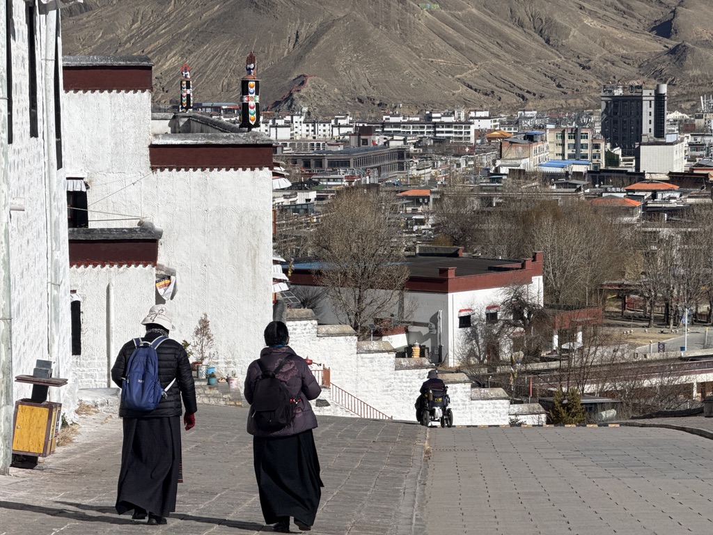 卡在减速带上的奶奶，和后来做翻译的两位大姐，同框出现在我的手机里