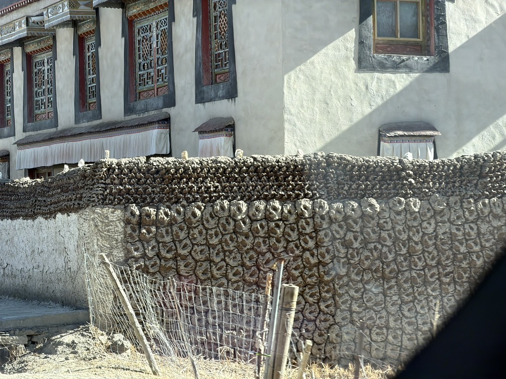 牛粪墙