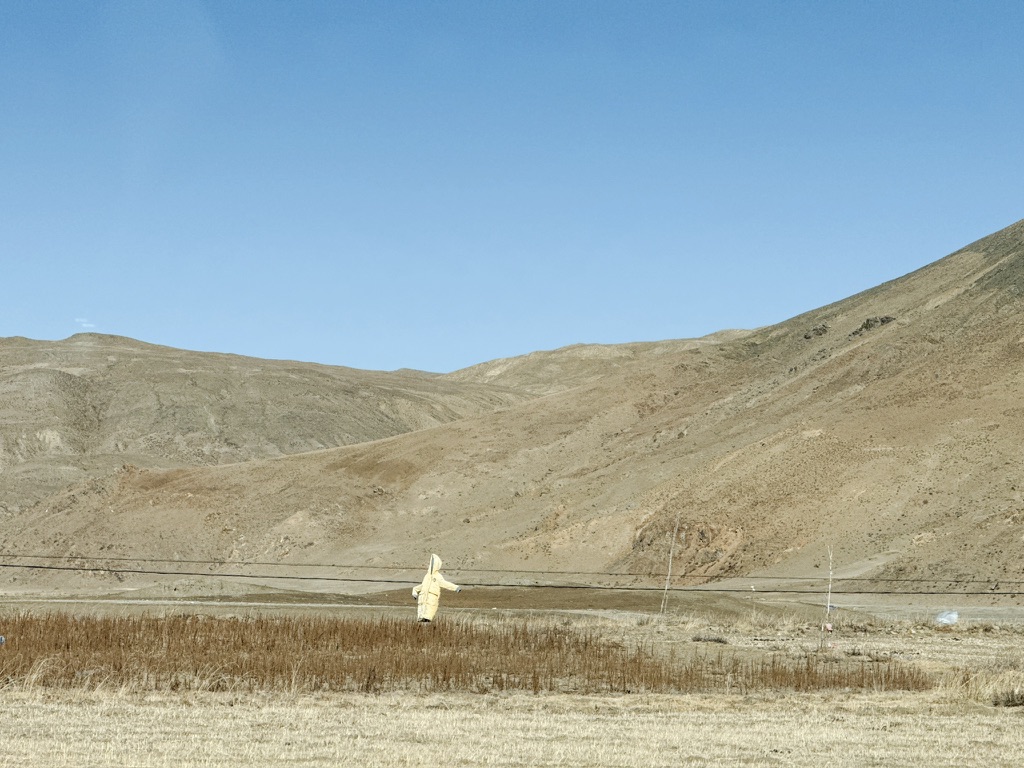 用羽绒服做稻草人太奢侈了，效果就是远看跟真人一模一样