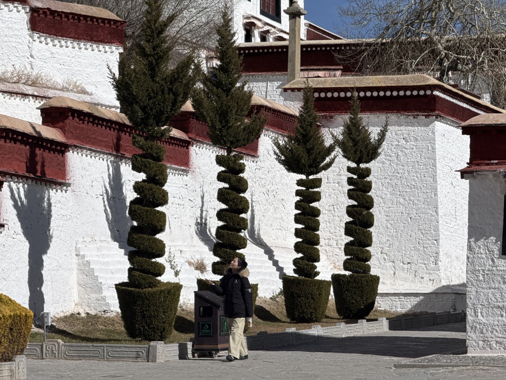 恙跟我说，大面筋！