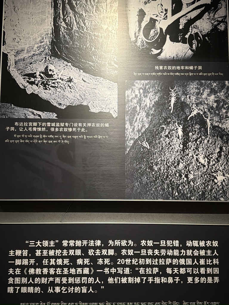 惨无人道的刑罚