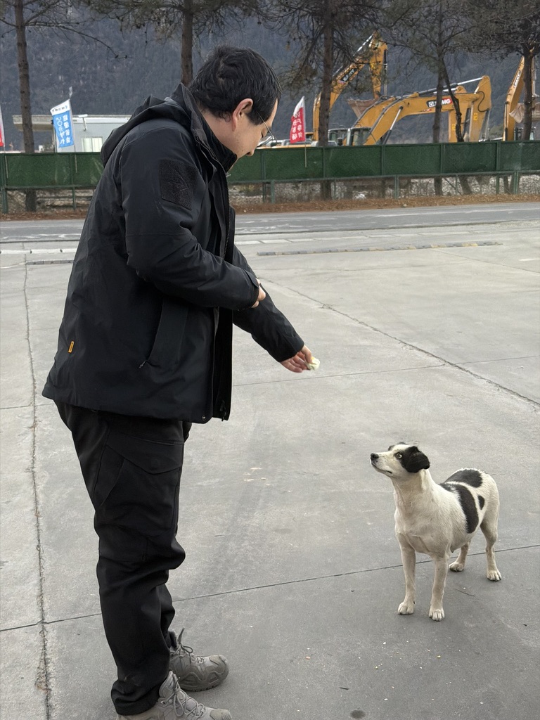 乖狗狗，吃蛋蛋