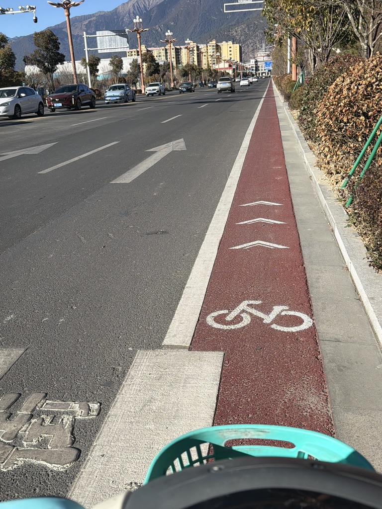 林芝的这个自行车道窄得跟啥似的