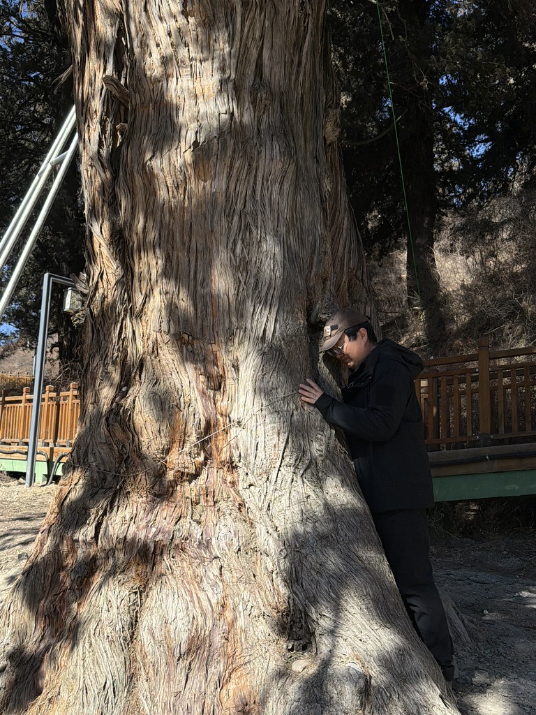 俺也找了根有眼缘的古柏抱了抱，吸了点灵气
