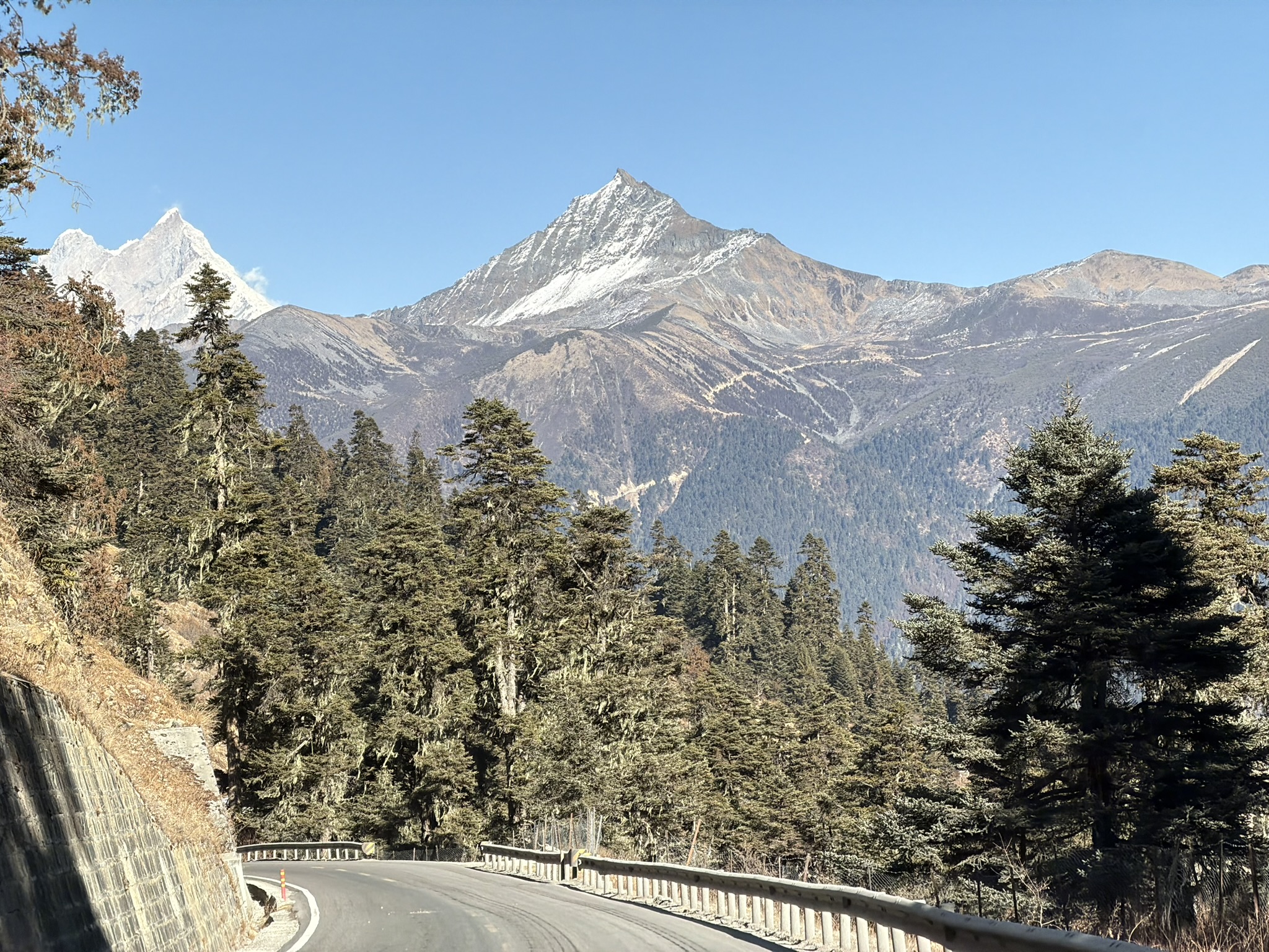 森林和雪山再度分野