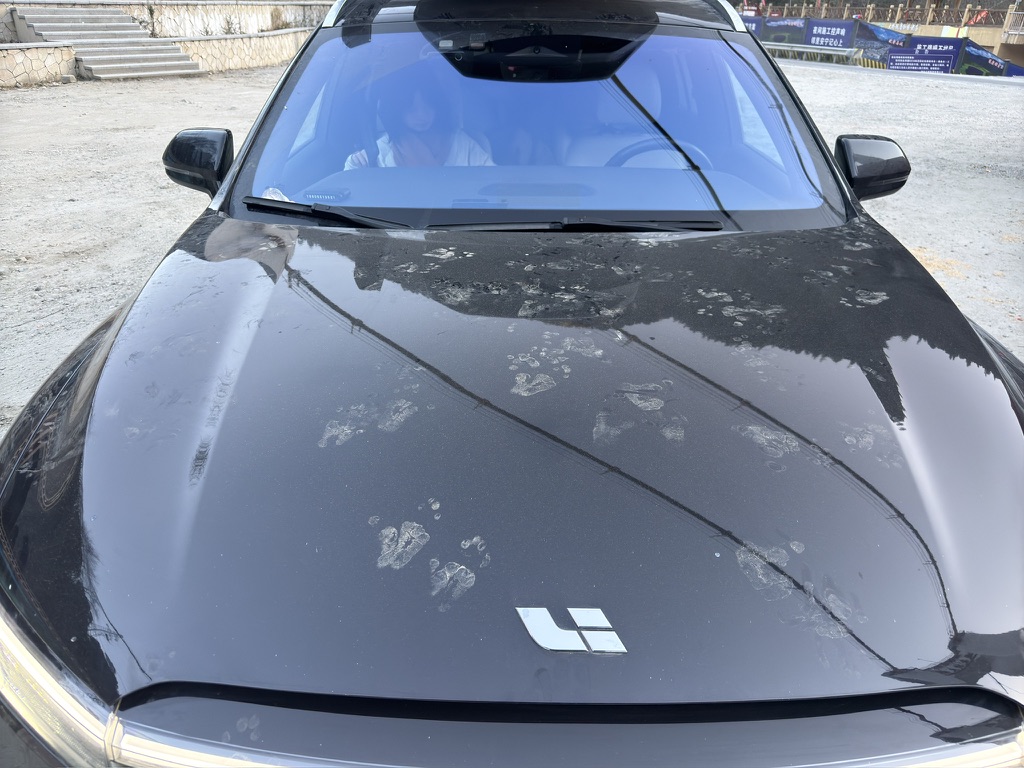 被猴子踩了一车盖的脚印