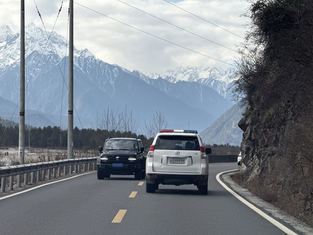 不得了的警车牌照，局长座驾吗？