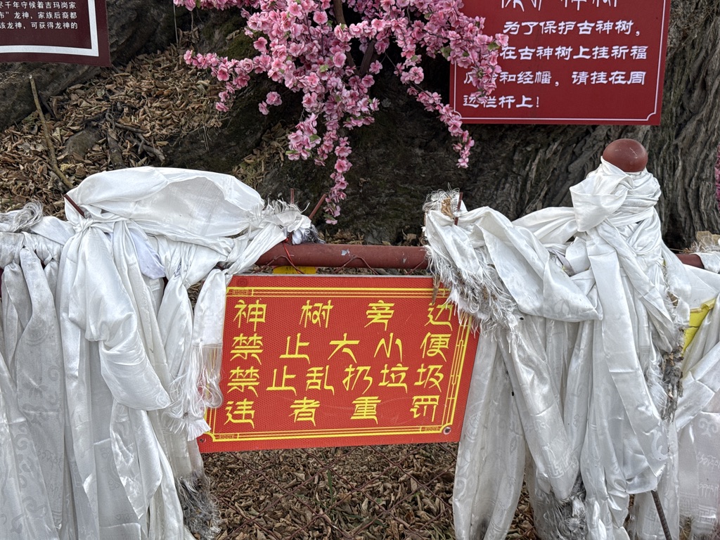 身为神树，好憋屈啊