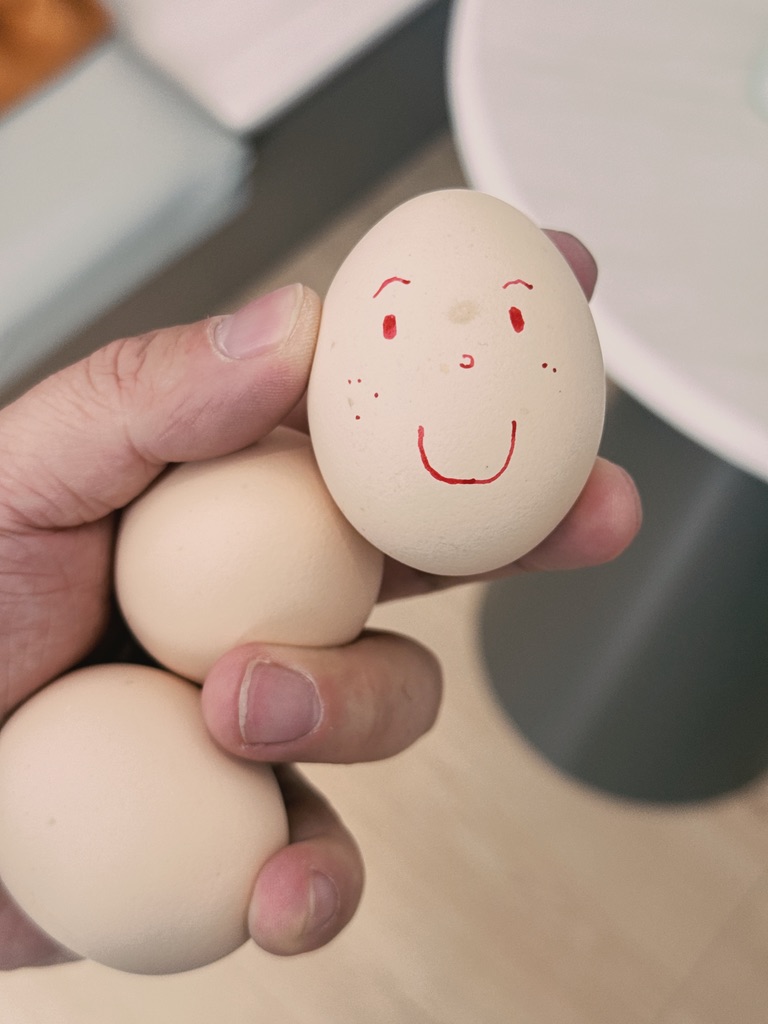 从酒店里拿出来的鸡蛋，为了区分昨天的和今天的，给昨天的鸡蛋花了脸蛋儿