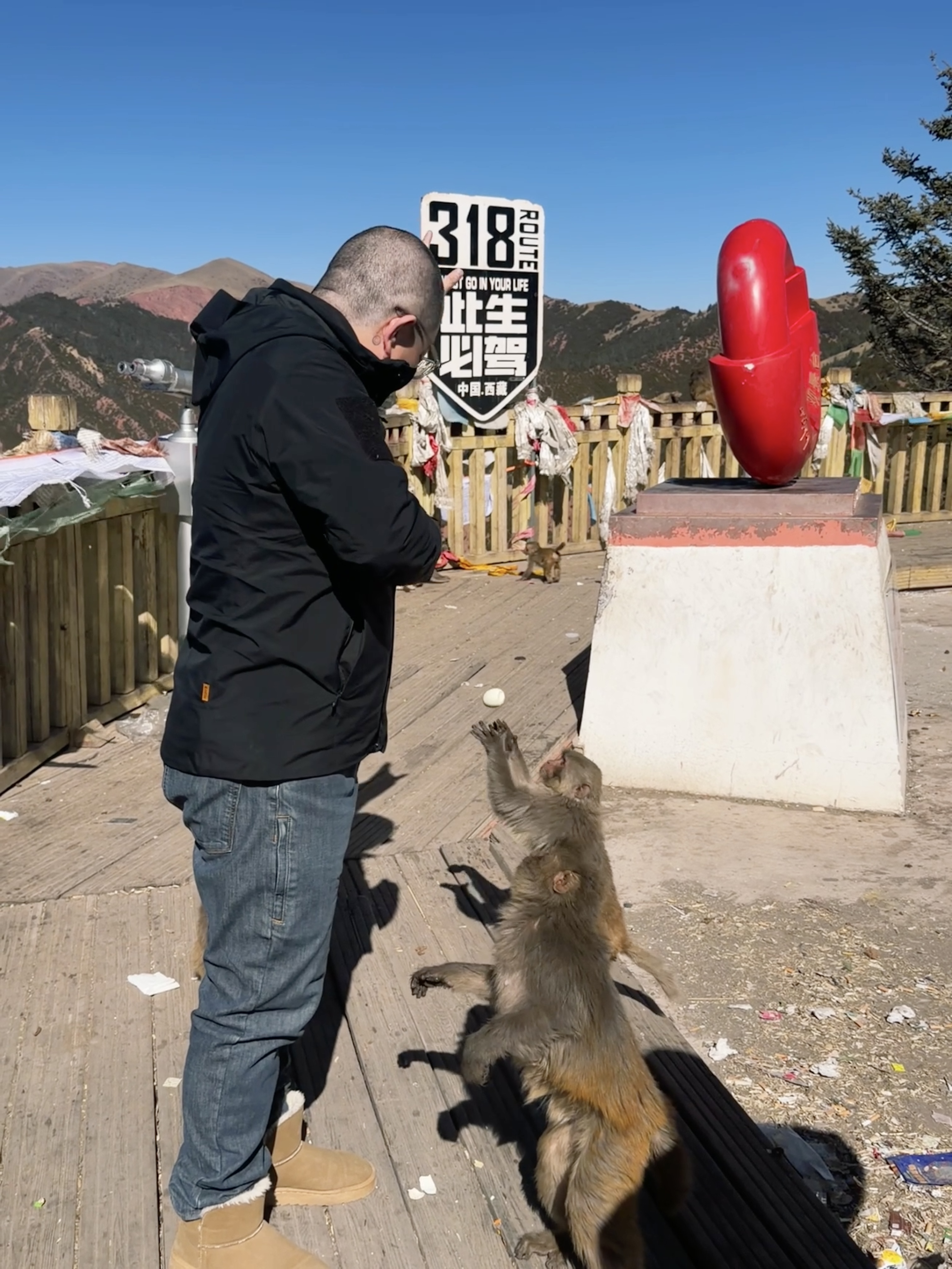 轻松抓住鸡蛋的猴子
