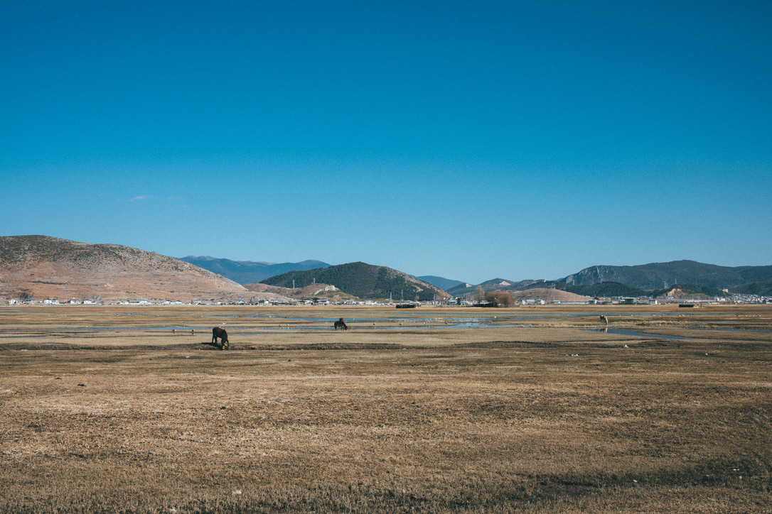 西岸的纳帕海上有马儿