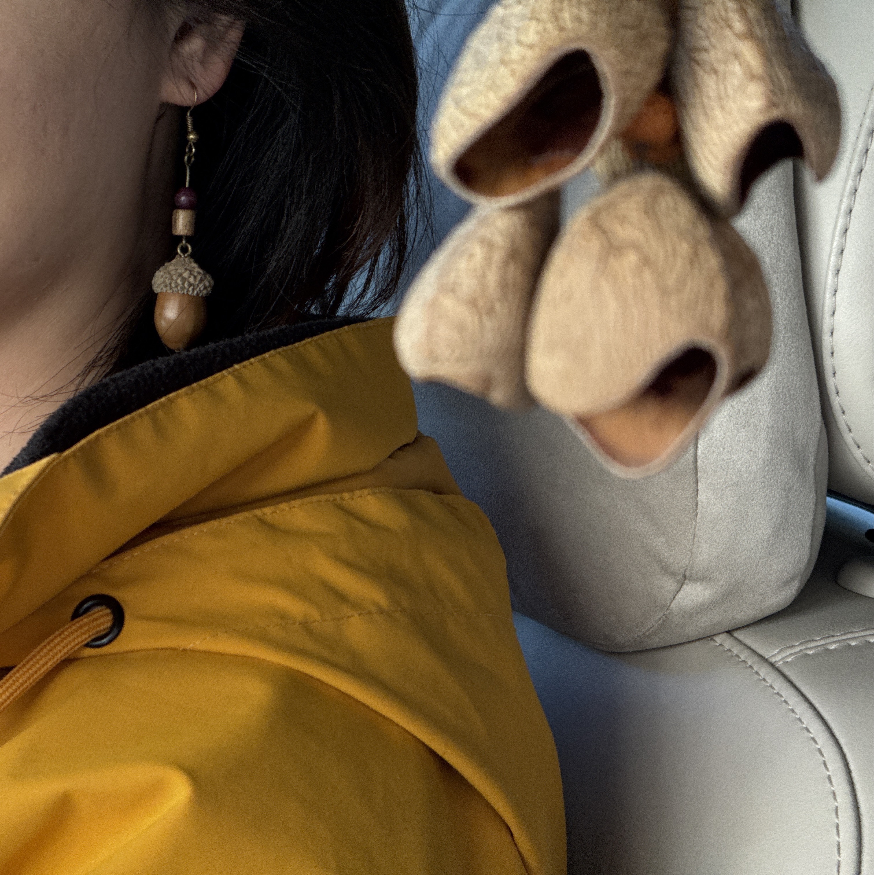 一串果壳风铃,和一对橡果耳坠,还有俩蘑菇冰箱贴,是古城文创中的收获