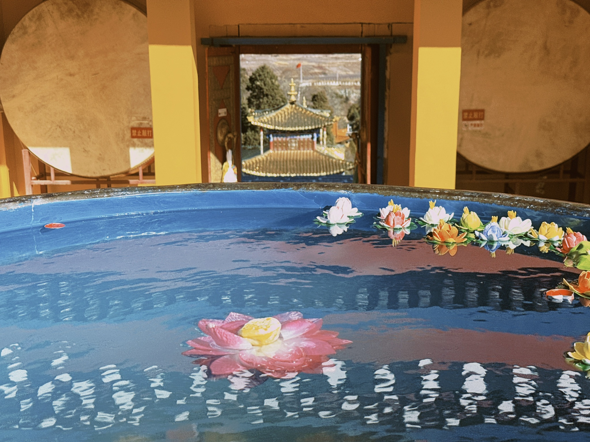 水缸里是可以漂浮的假莲花