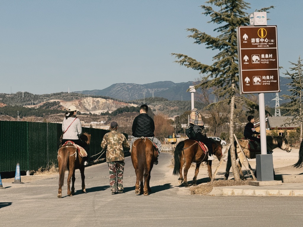 回来路上看到的骑马一家人,恙想自由骑,不想被牵着过马路