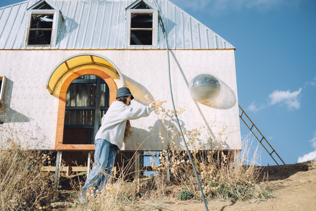 这里竟然长着姑娘果