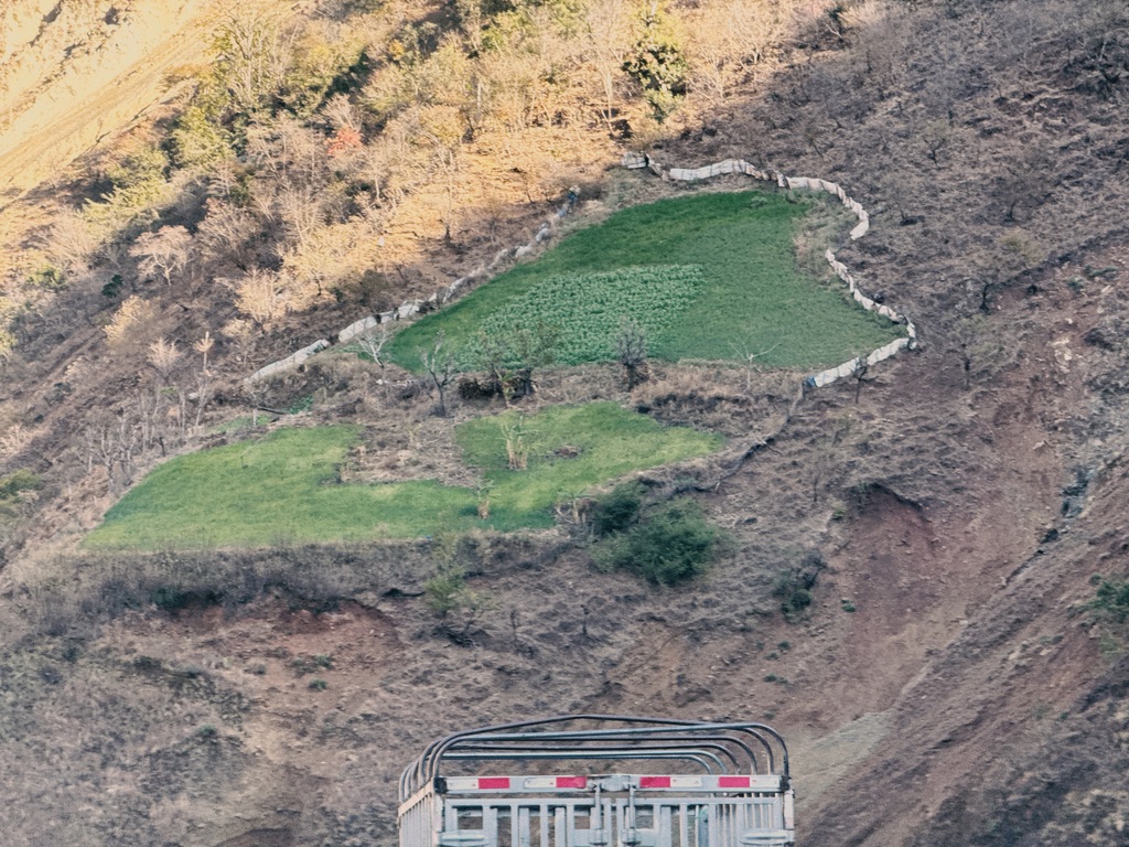 陡坡上种植的作物，和周围的土崖形成鲜明对比