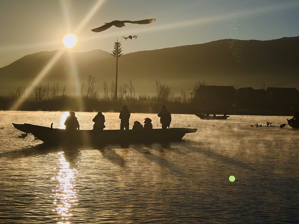 晨雾飞鸟无人机