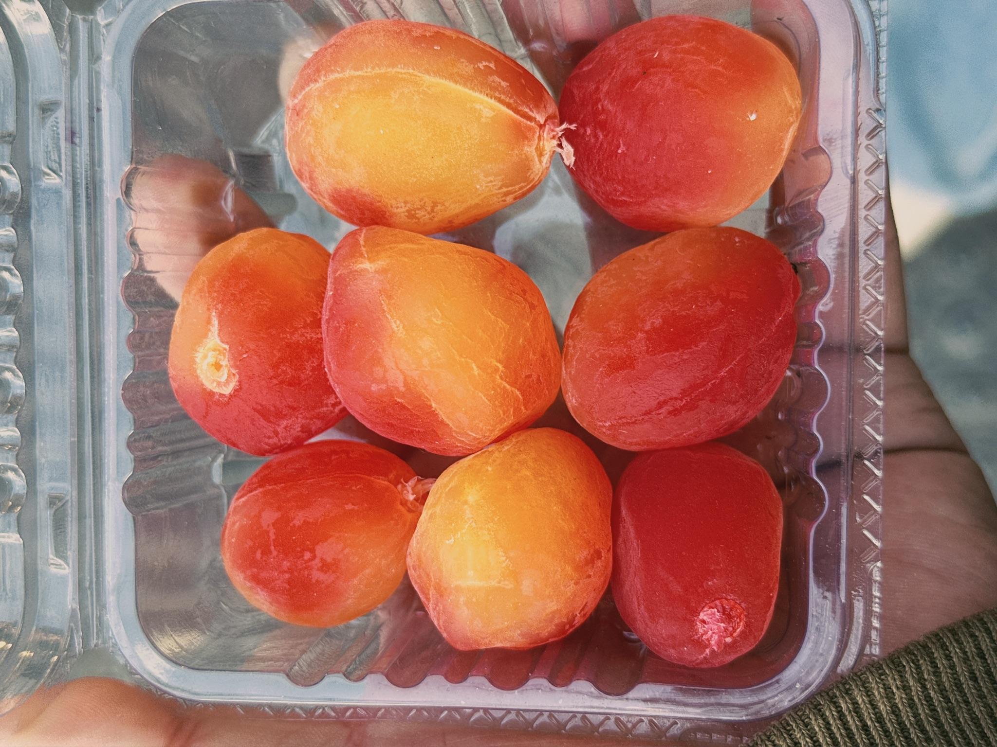 被人坑了，这果子像是蜡制的