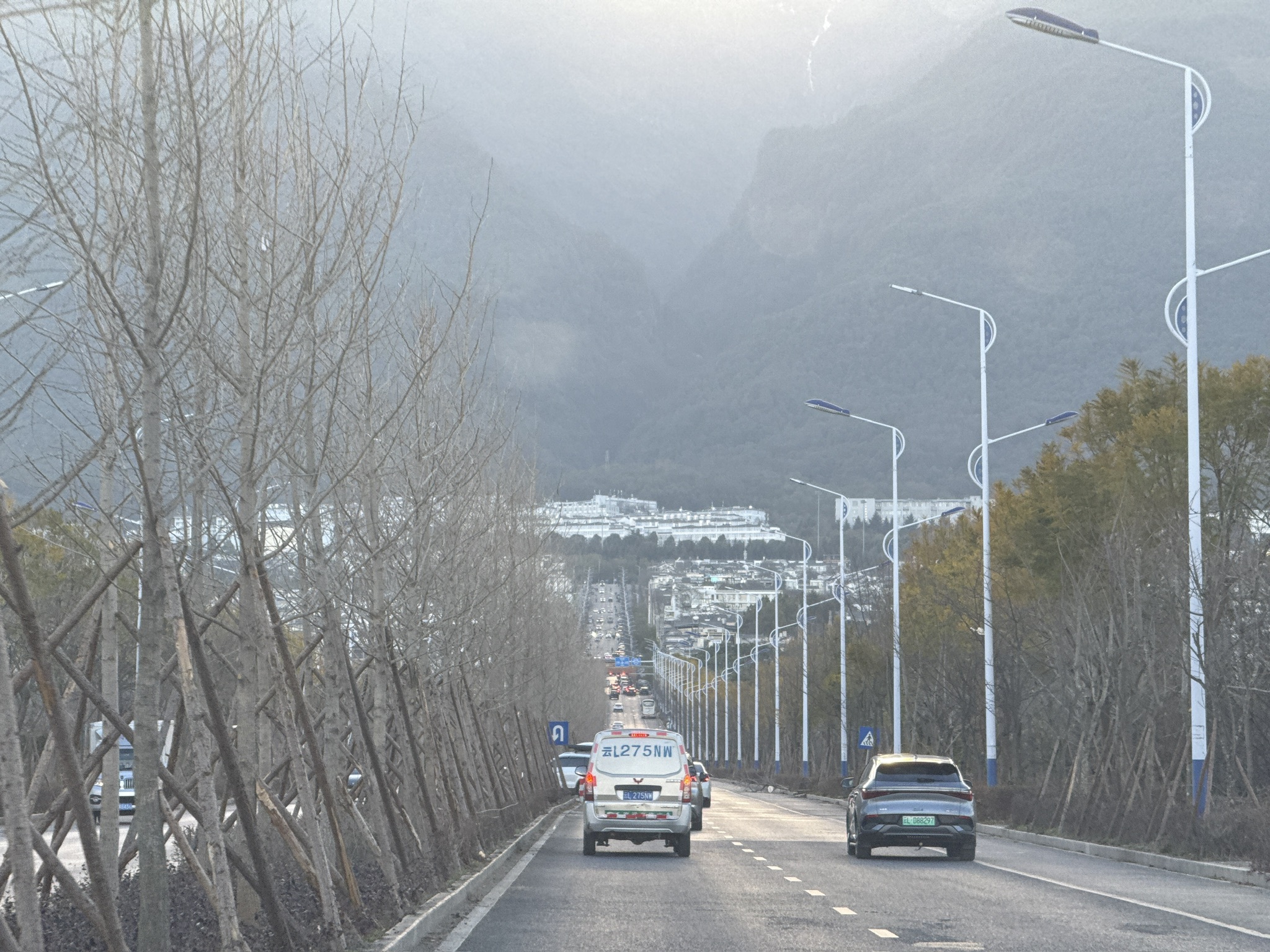 传说中很多人会在这里拍照的苍耳大道