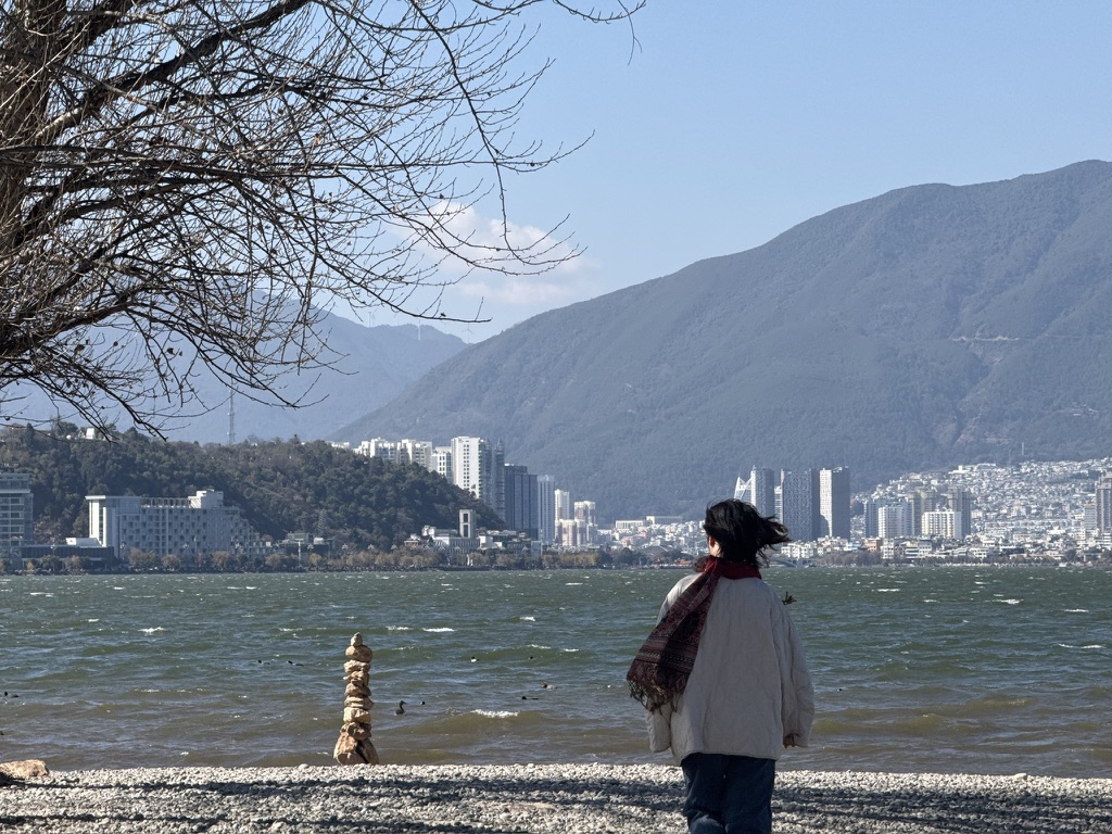 大风中的洱海南岸