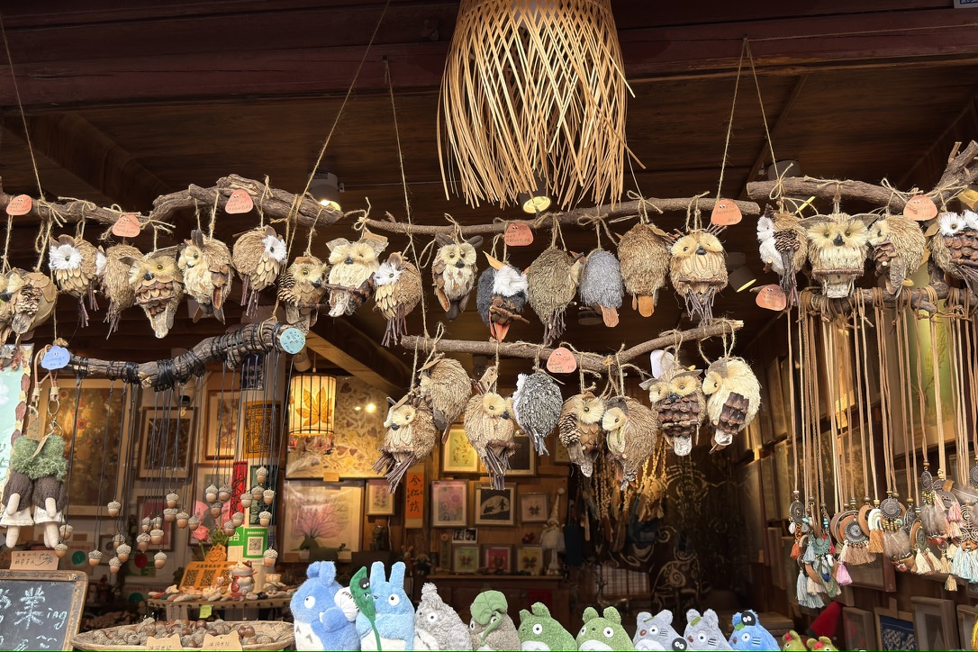 满树枝的猫头鹰