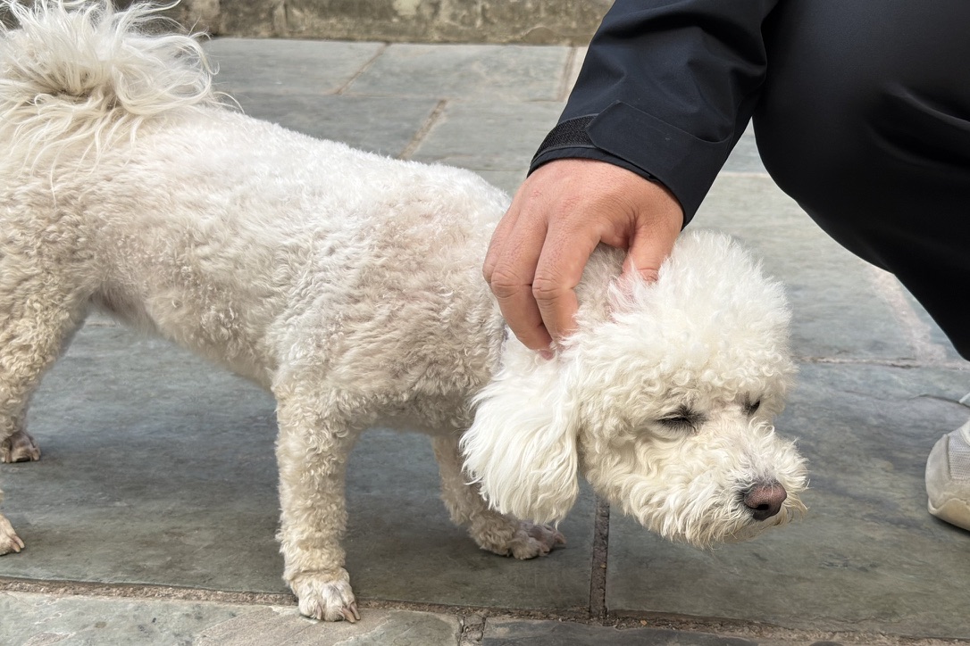 在古城里摸到了别家的纸纸