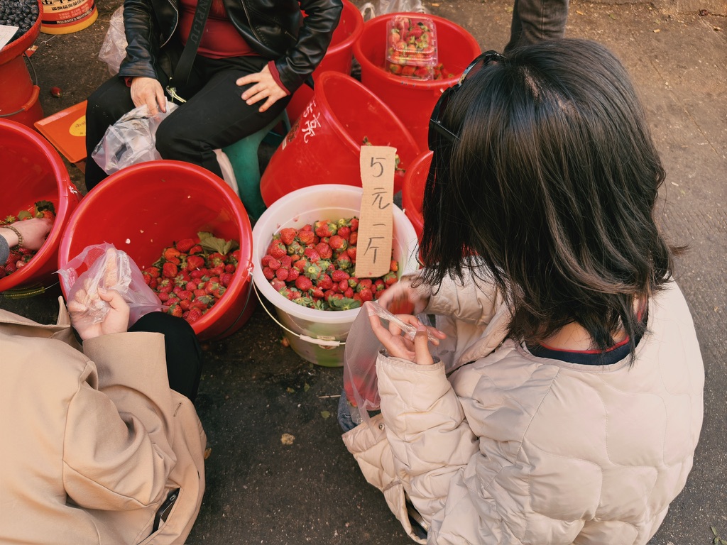 五元一斤的草莓