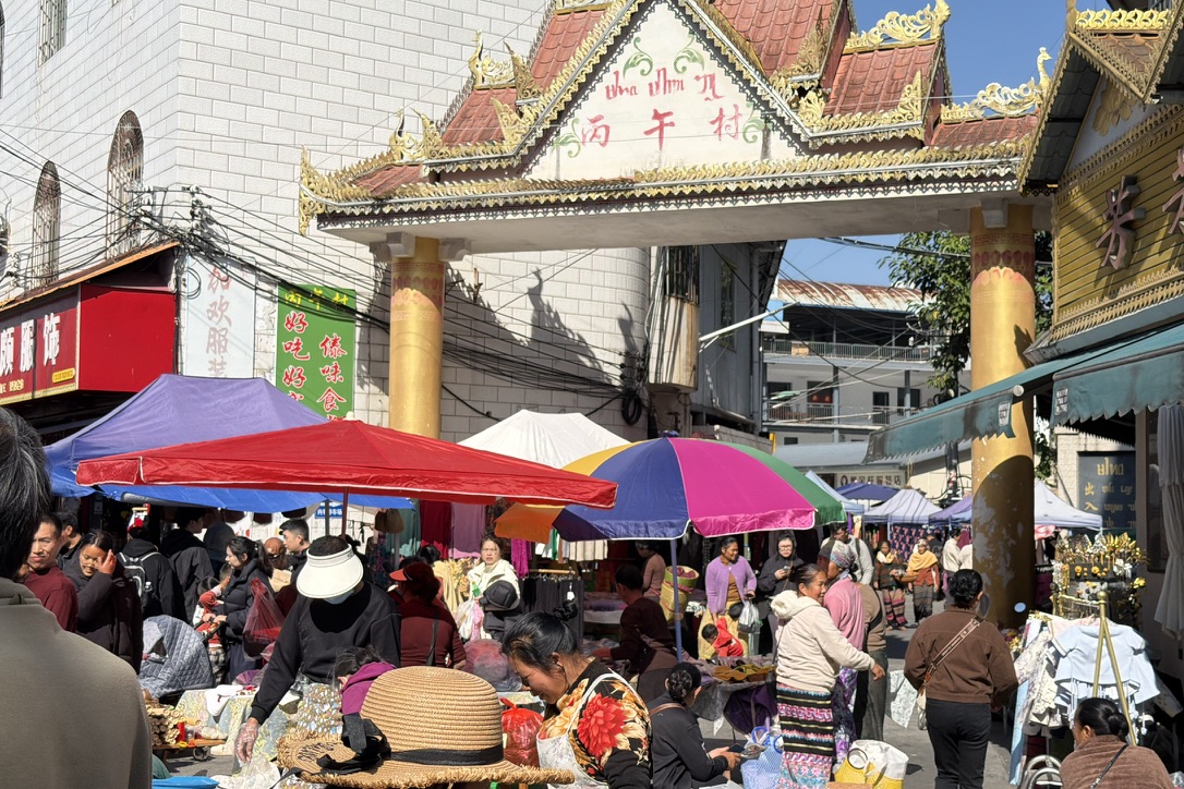 丙午村,傣族的村庄一定会有一个这样洋气的大门,这还是最简陋的