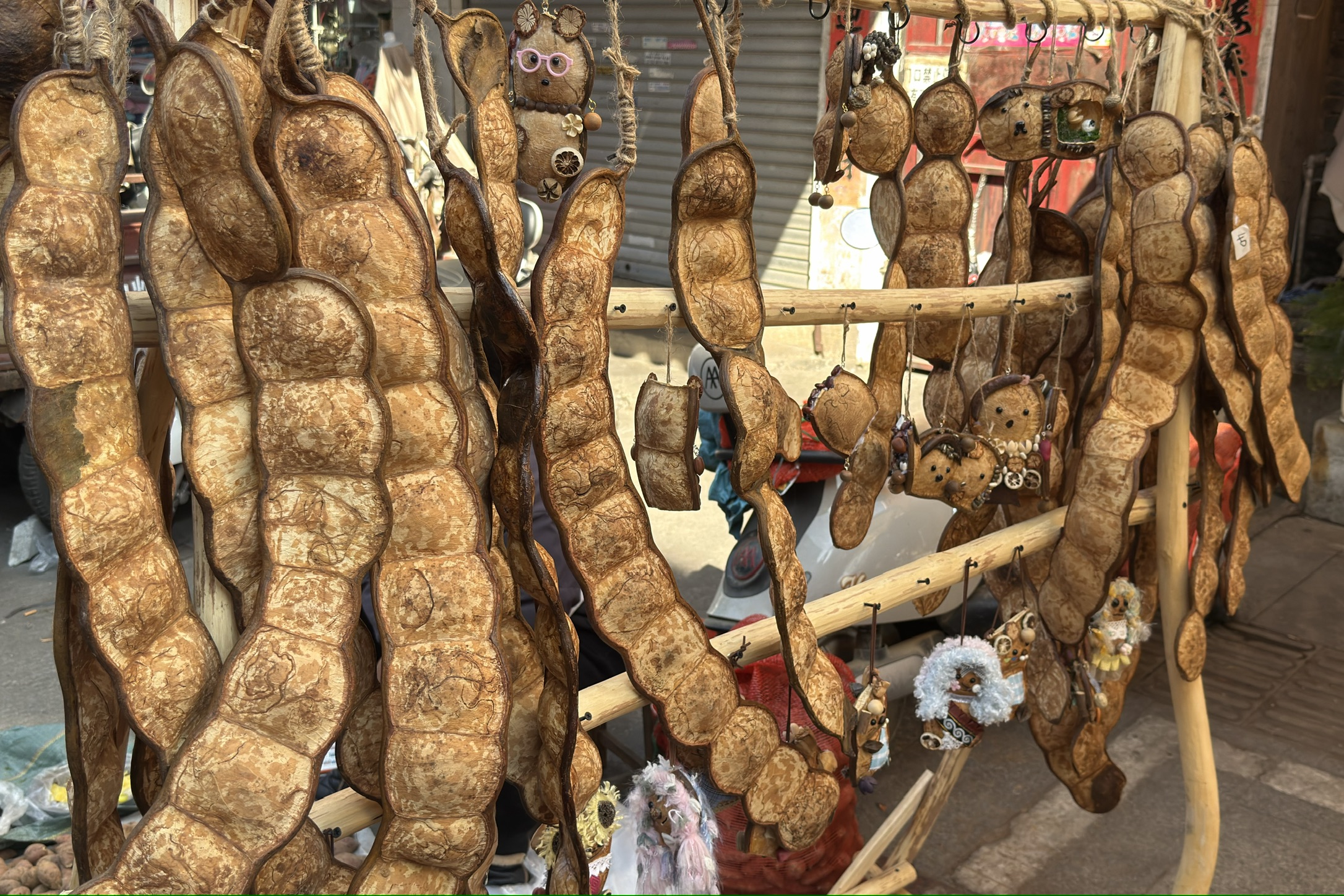 网红大豆荚,这里三块钱一个豆,后来在昆明八块钱一个豆,可见物价之差