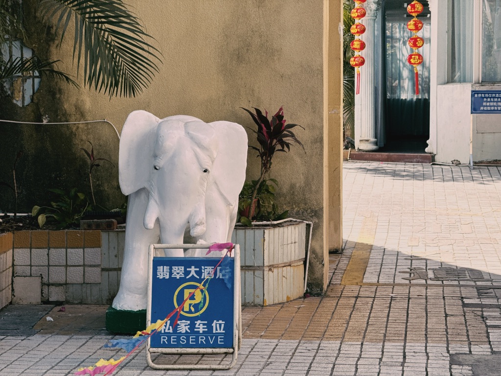 愁眉苦脸的大象