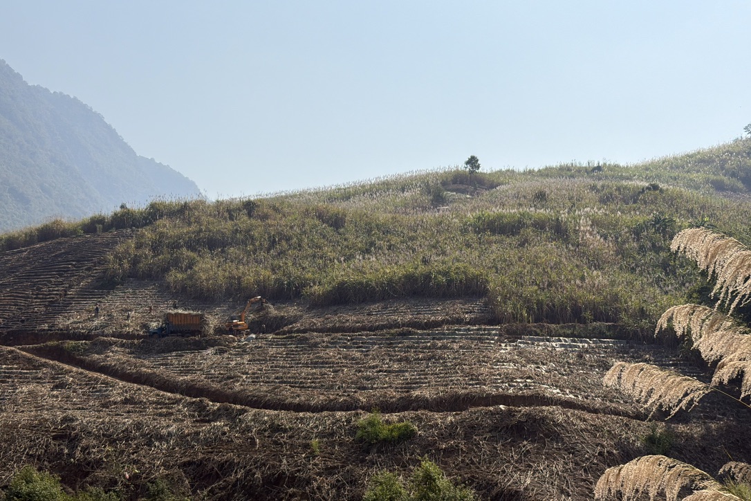 正在收割甘蔗的车辆