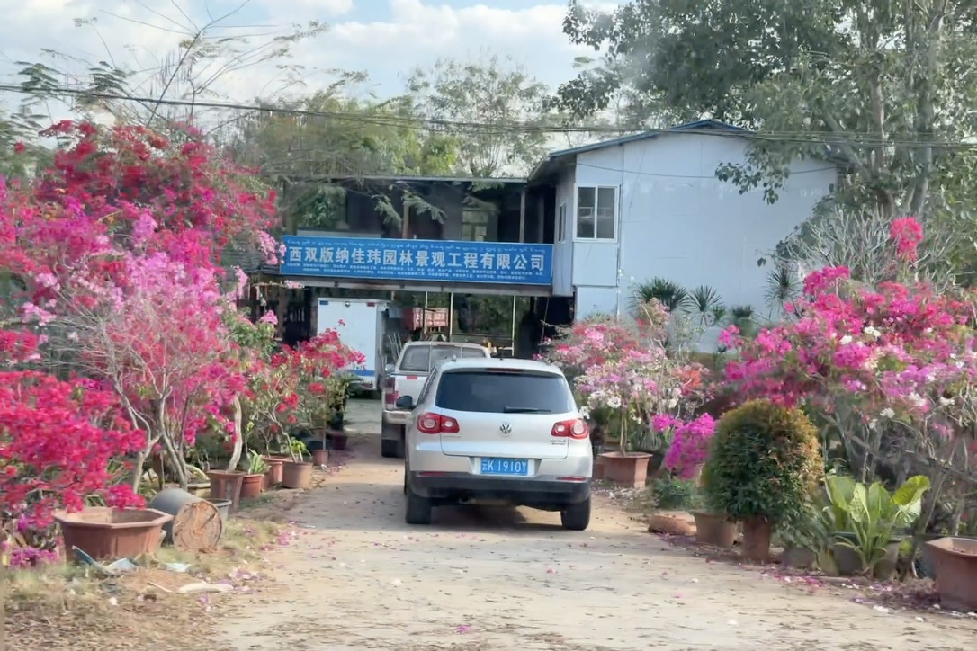 公路两边的园艺公司