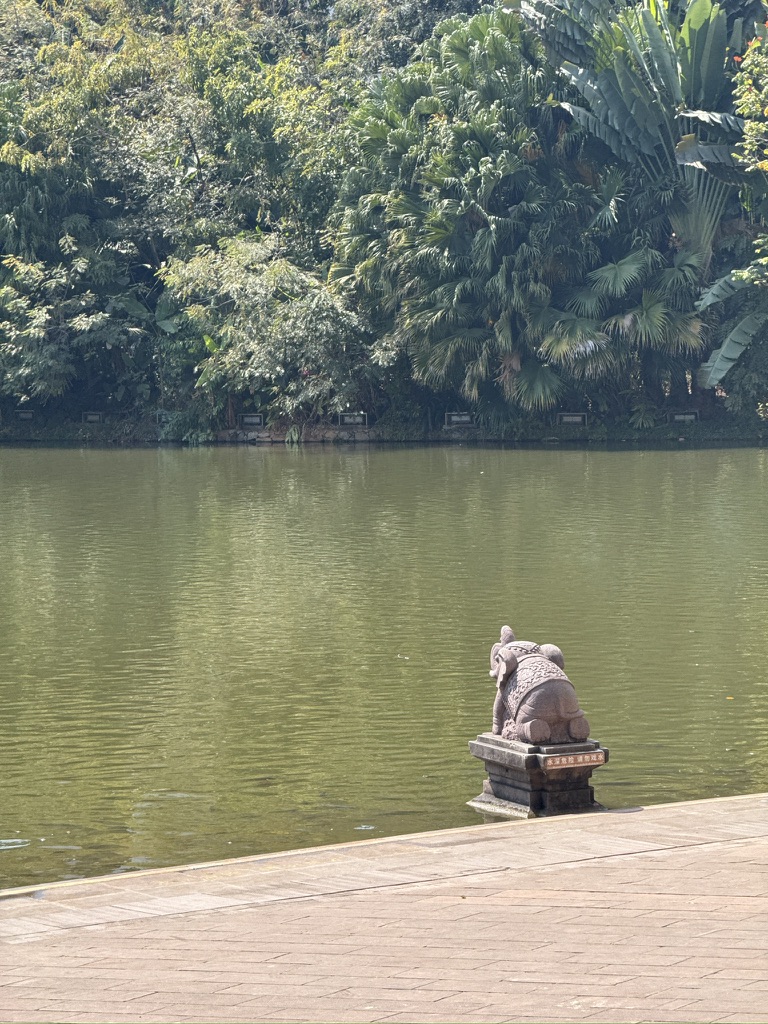 龙桓湖边的石象，跪得很可爱