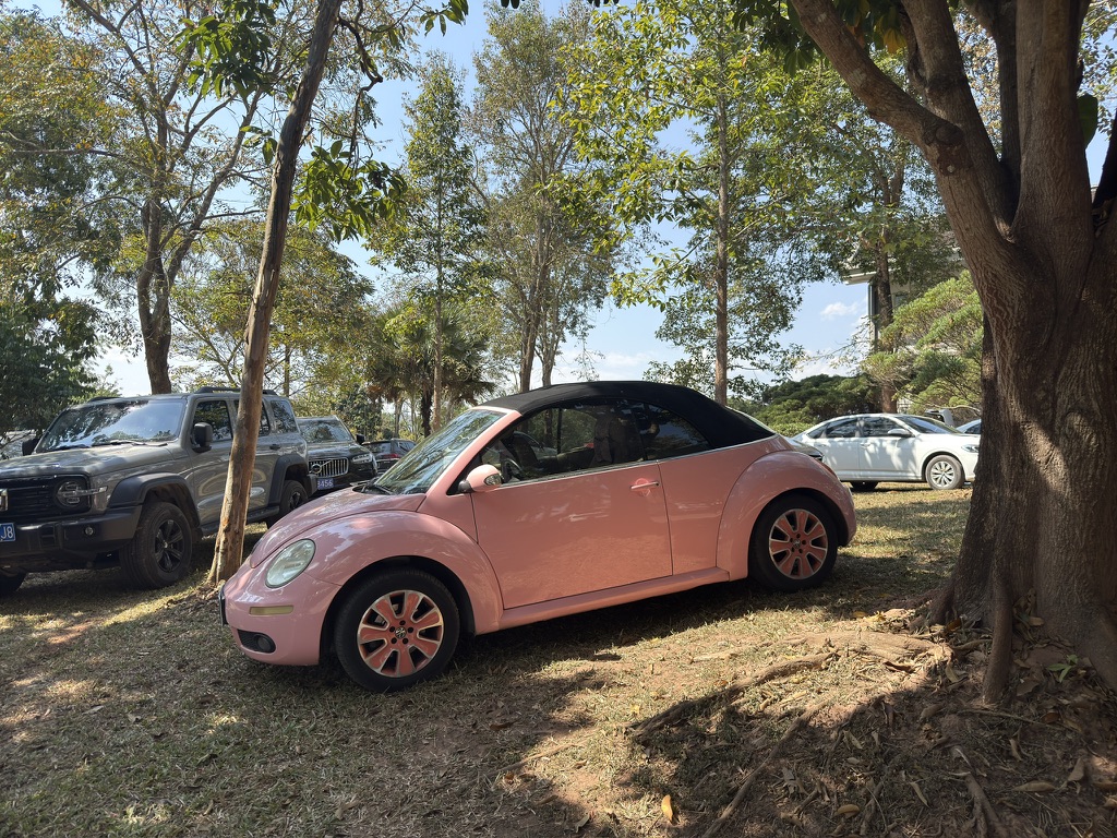 稀有怪，粉色敞篷甲壳虫