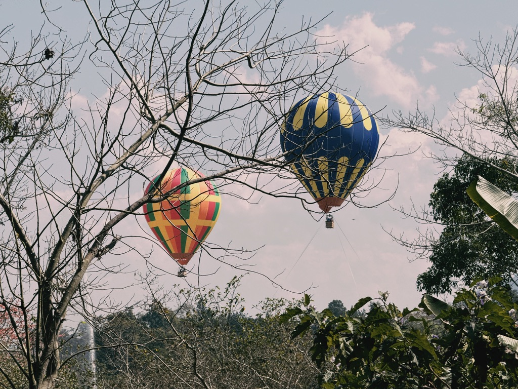 植物园里也有热气球电梯