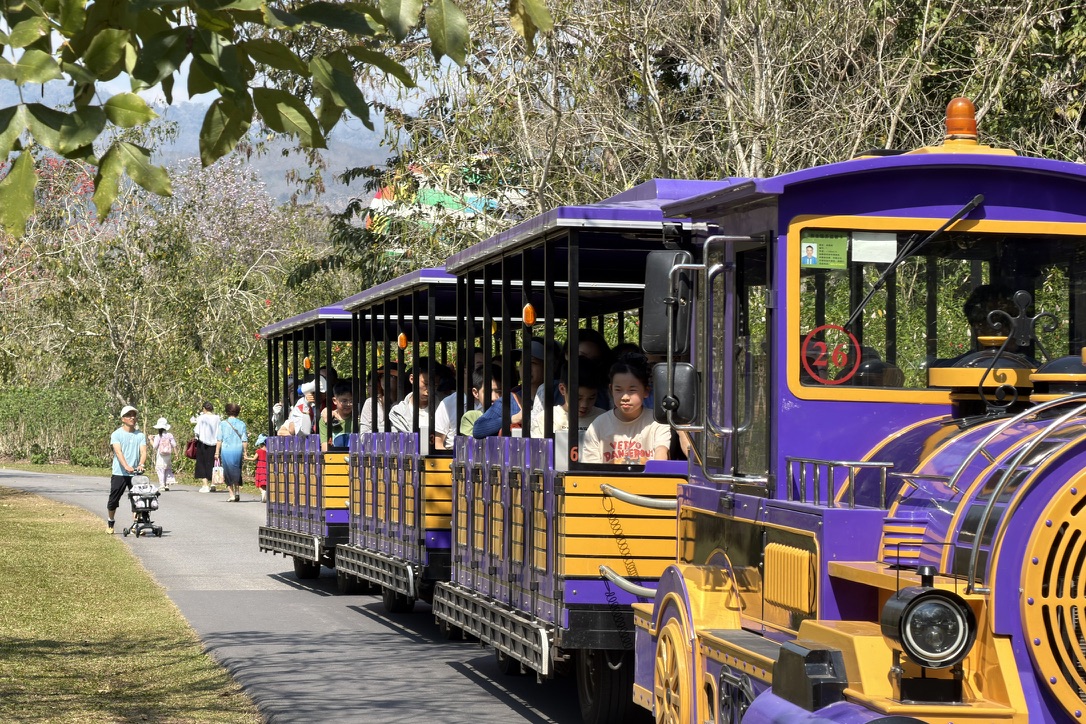 还有火车,就离谱