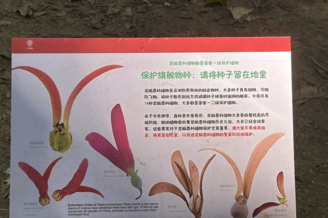 遇到了最好也别带走