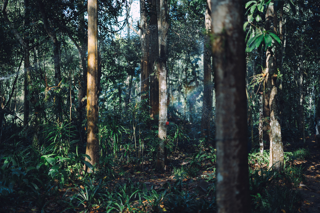 喷灌出来的人造彩虹