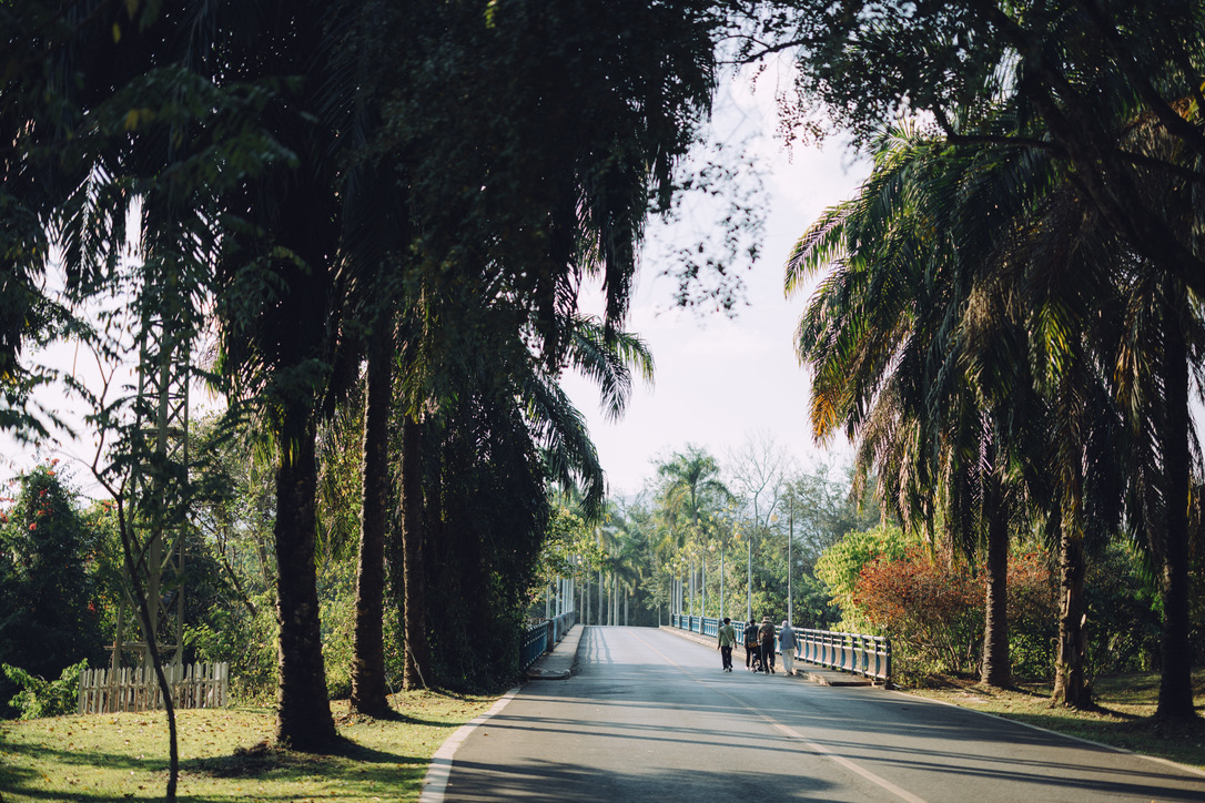 东西区的连接桥