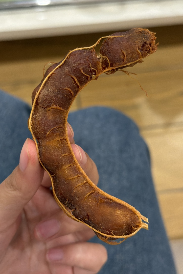 酸角剥开壳是这样的