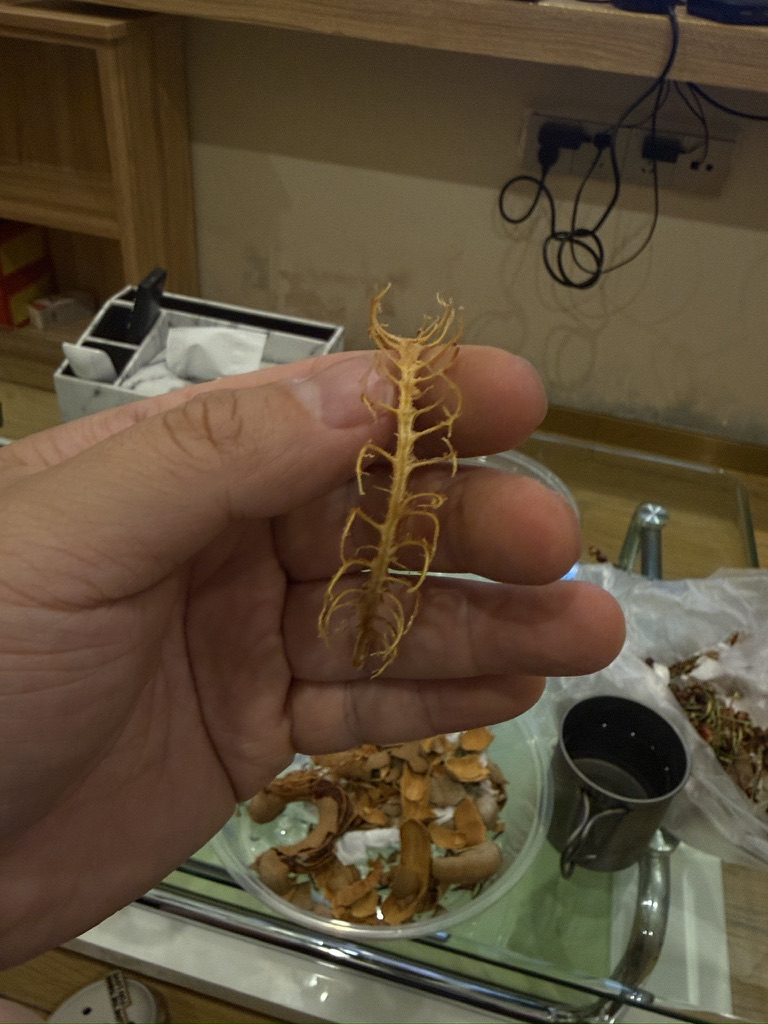 把里面的丝抽出来，竟然像是脊椎，还蛮吓人滴