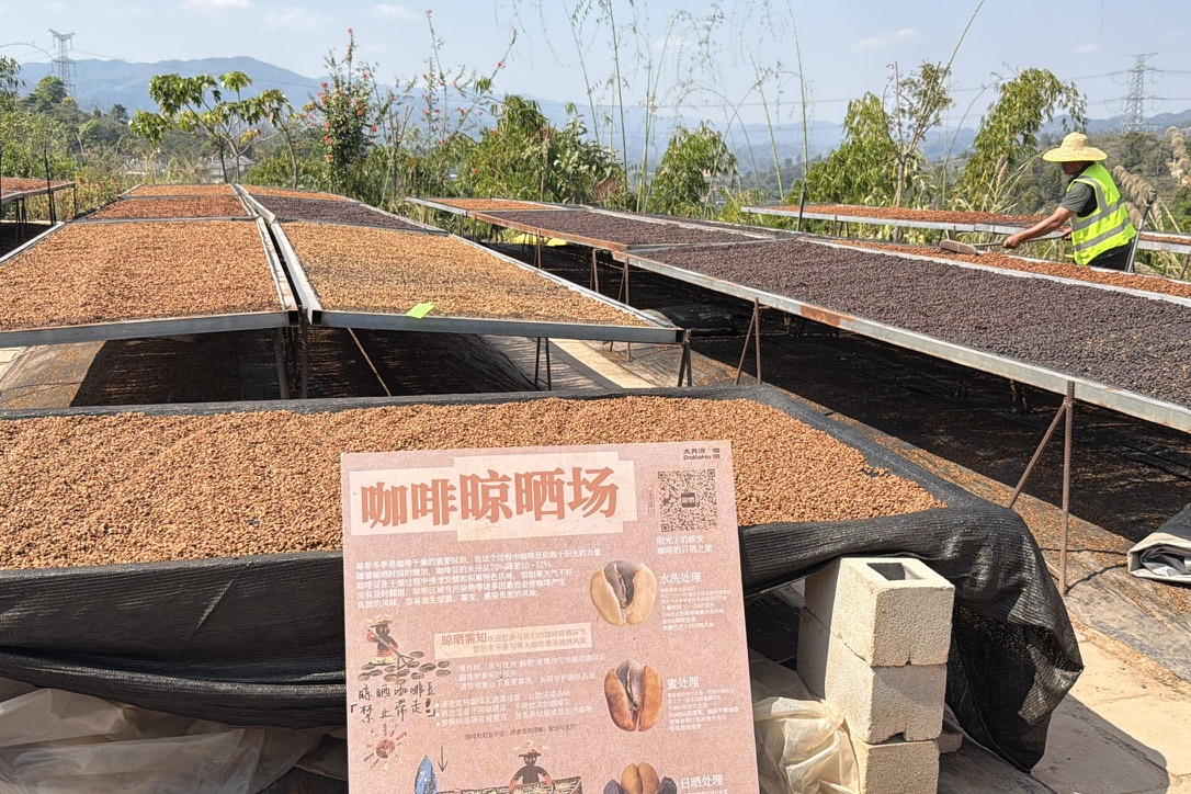 三种咖啡豆的处理方式